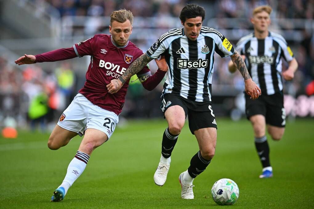 Sandro Tonali thi đấu cho Newcastle - cầu thủ vừa được Tottenham chiêu mộ