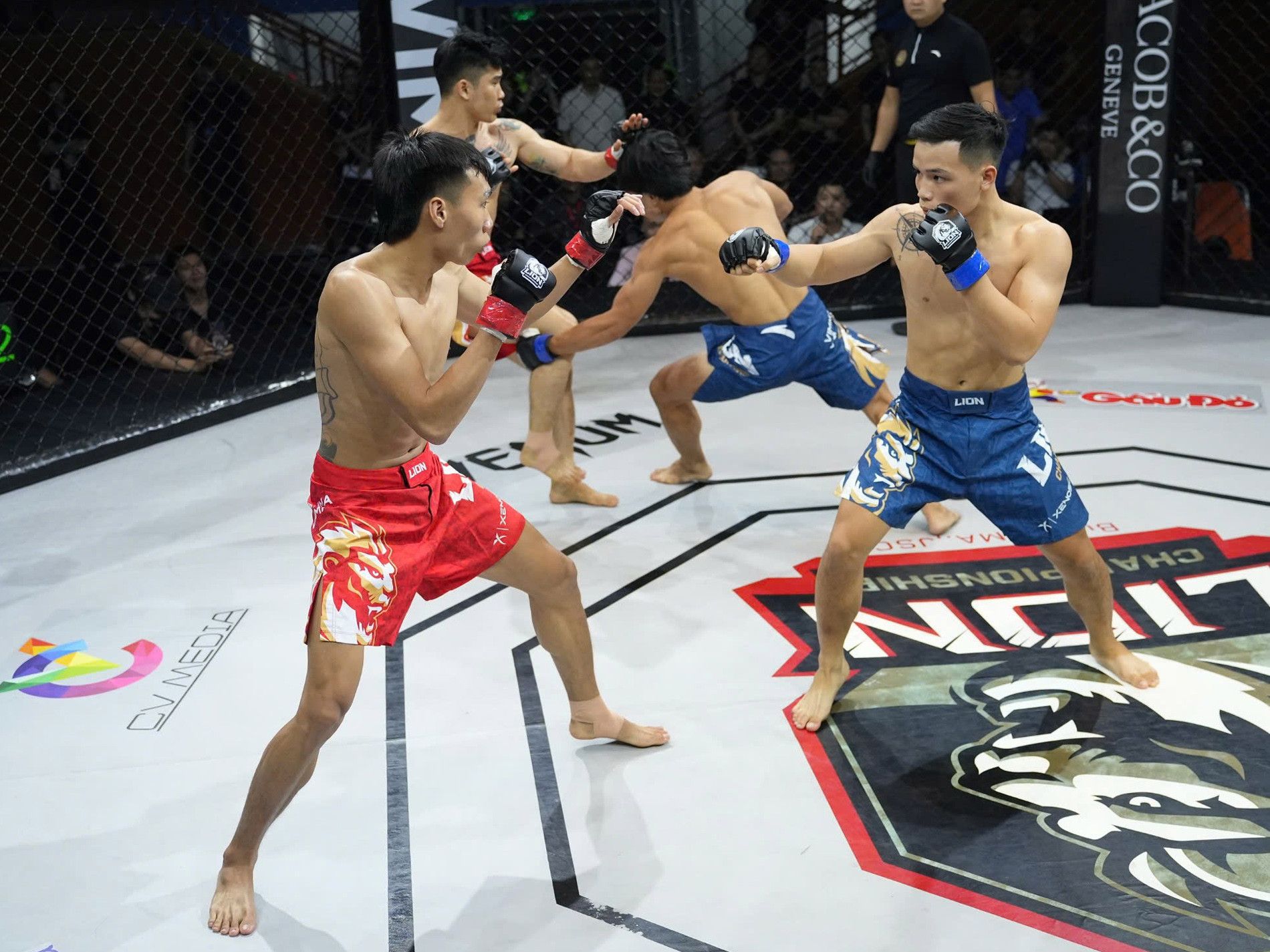 Lần đầu tiên giải MMA Việt Nam có nội dung song đấu MMA Duo
