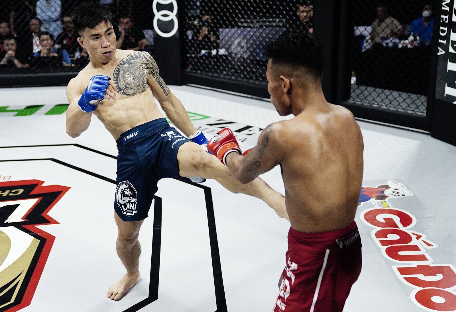Các võ sĩ MMA Việt Nam sẵn sàng cho SEA Games và Asian Games