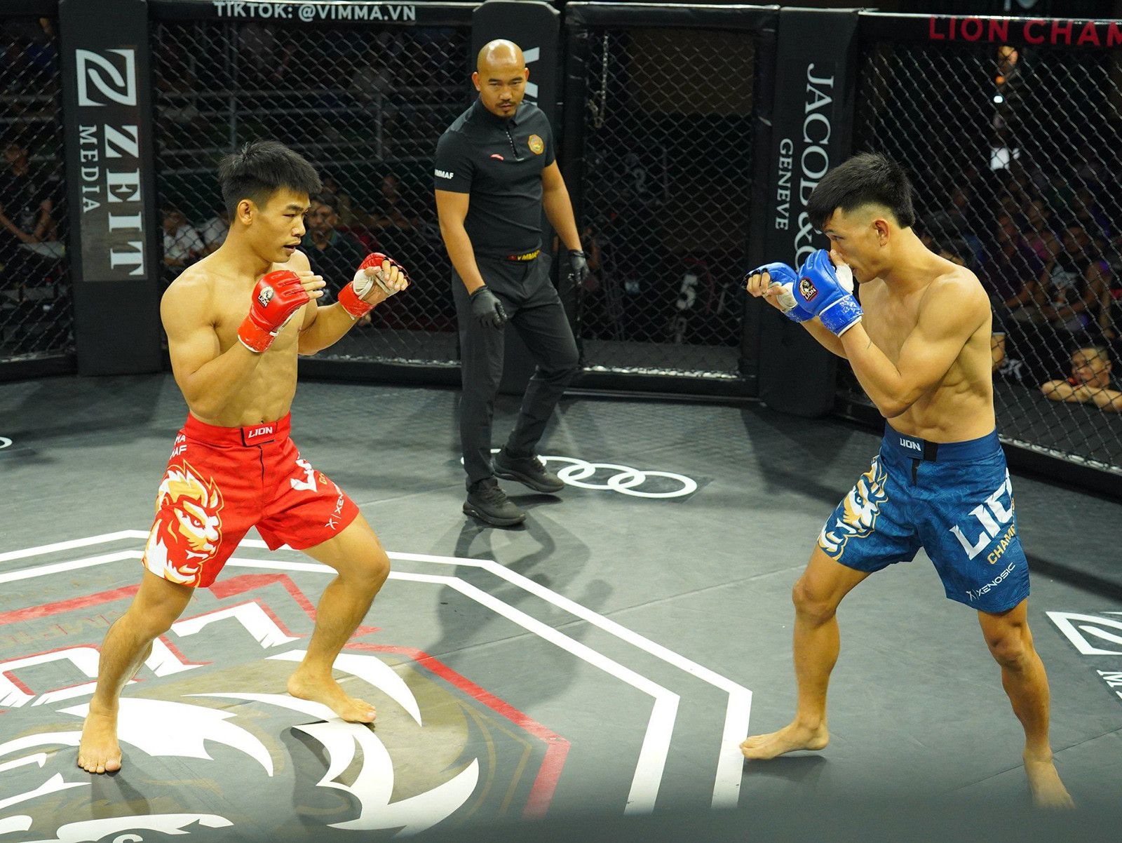 Trần Ngọc Lượng so tài với Bùi Trường Sinh tại MMA Việt Nam